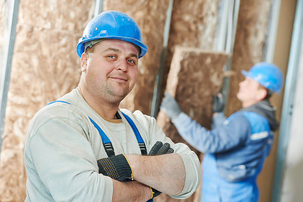 Best Crawl Space Insulation  in Winfield, IA